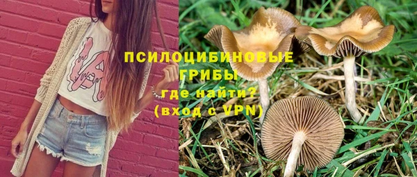 эйфоретик Богданович