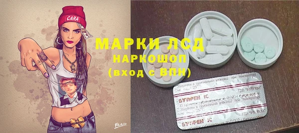 spice Белокуриха