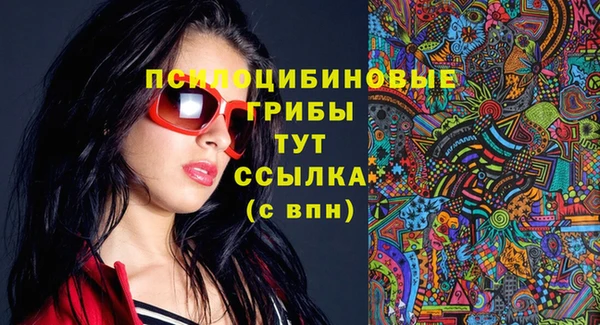 spice Белокуриха