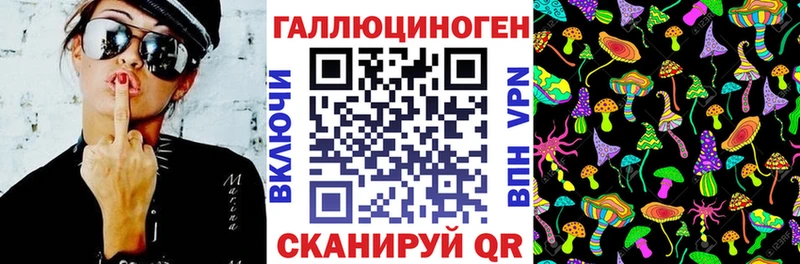 Псилоцибиновые грибы GOLDEN TEACHER  Каменск-Уральский 